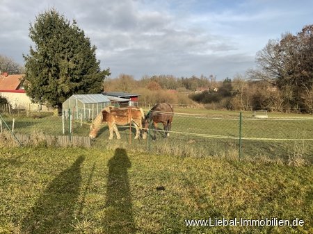 Blick vom Grundstück 