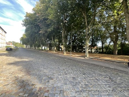 Blick zum Stadtwall