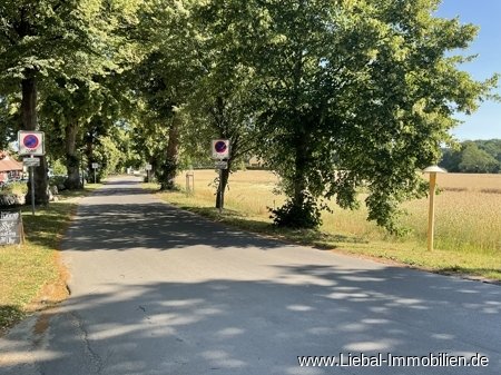 Baugrundstücke Usedom in landschaftlich reizvoller Region !!! Baugrundstücke Usedom in landschaftlich reizvoller Region !!!